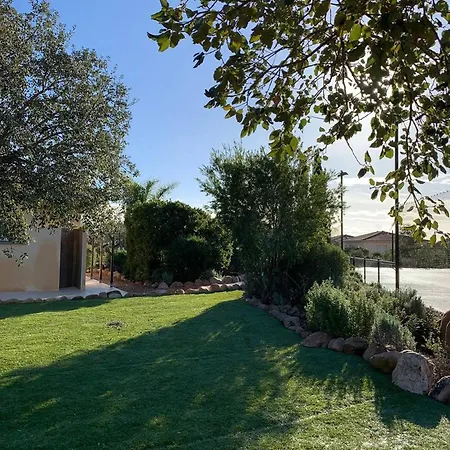 West Mountain View * Lecci